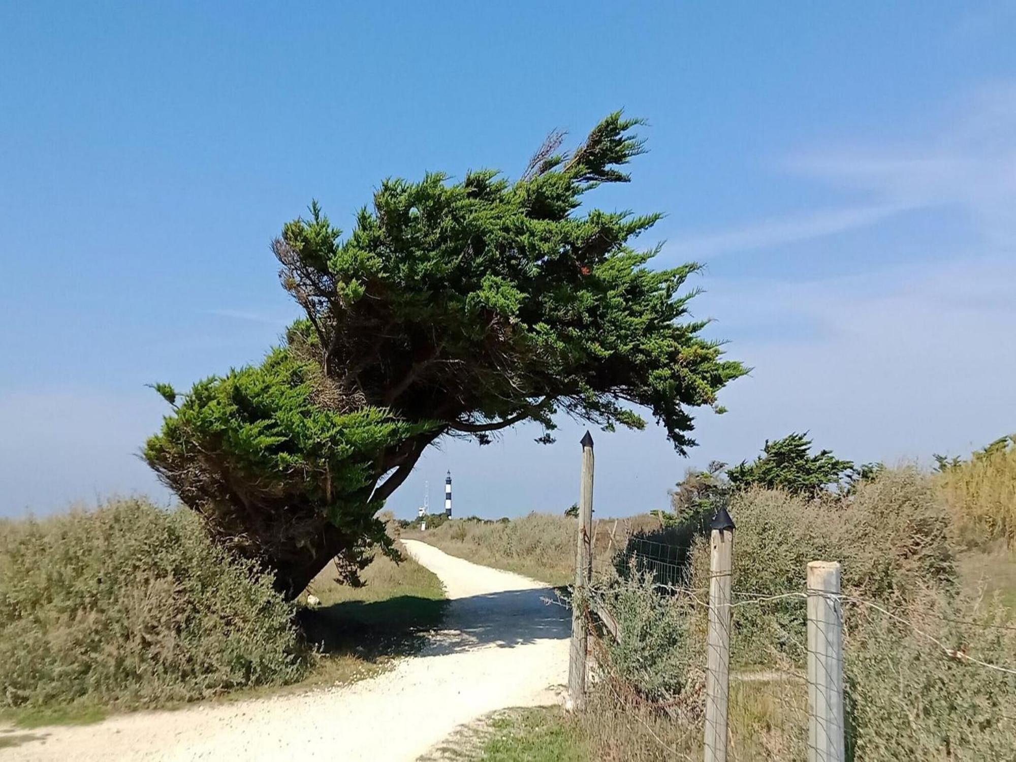 Les Hameaux Des Sables Vignie Saint Georges D Ol Ron Holiday Home Not Detached ภายนอก รูปภาพ