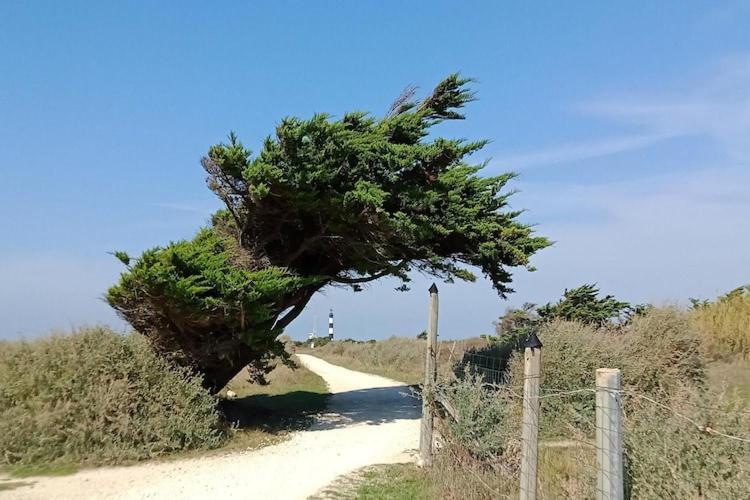 Les Hameaux Des Sables Vignie Saint Georges D Ol Ron Holiday Home Not Detached ภายนอก รูปภาพ